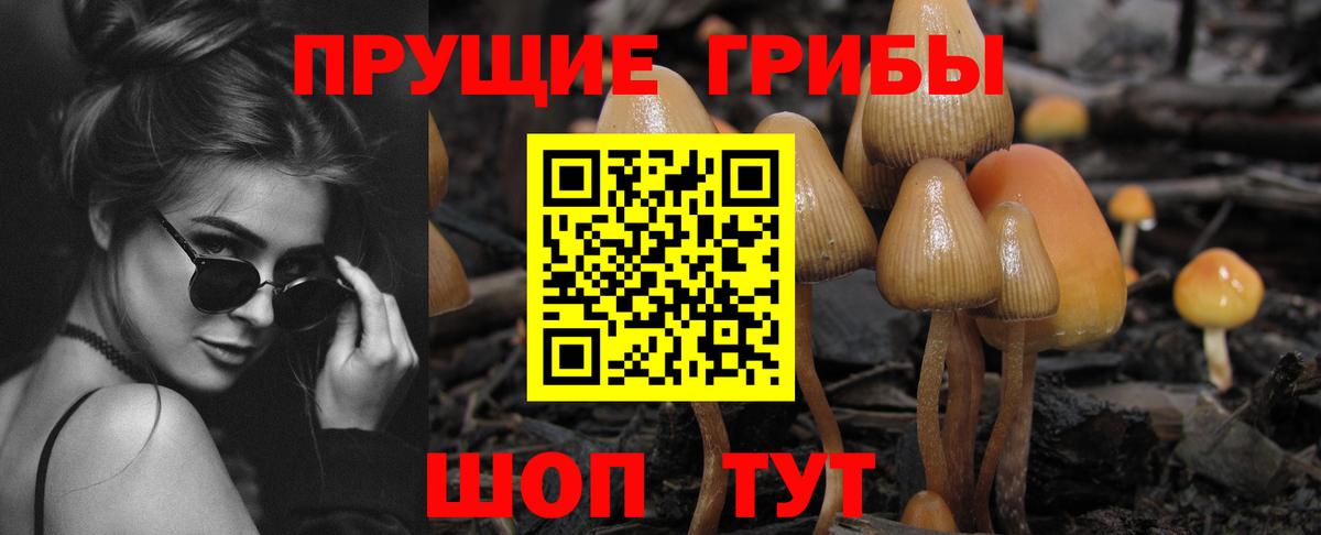 Галлюциногенные грибы ЛСД Коркино